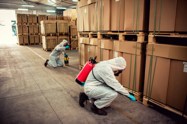 Best Local Pest Control Services  in Rlsbad, CA
