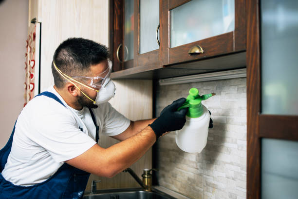 Best Pest Removal Services  in Rlsbad, CA