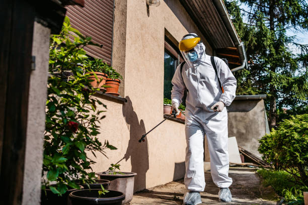Best Mosquito Control Services  in Rlsbad, CA