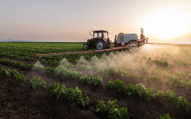 Best Insect Control  in Rlsbad, CA