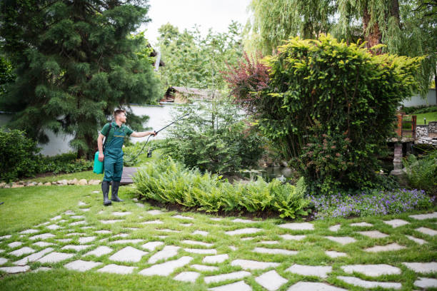 Best Exterminator Services  in Rlsbad, CA