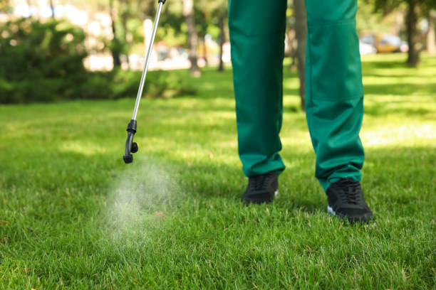 Best Flea Control Services  in Rlsbad, CA