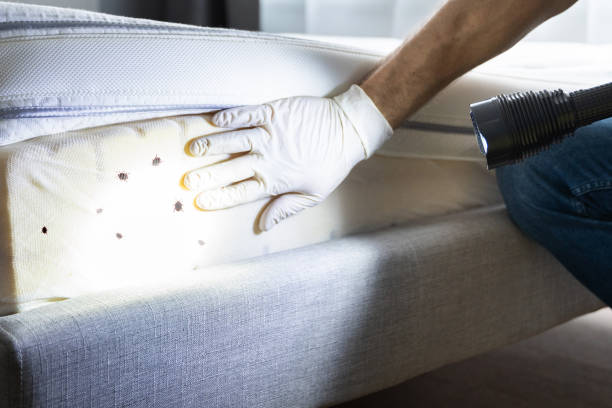 Best Wildlife Control Services  in Rlsbad, CA