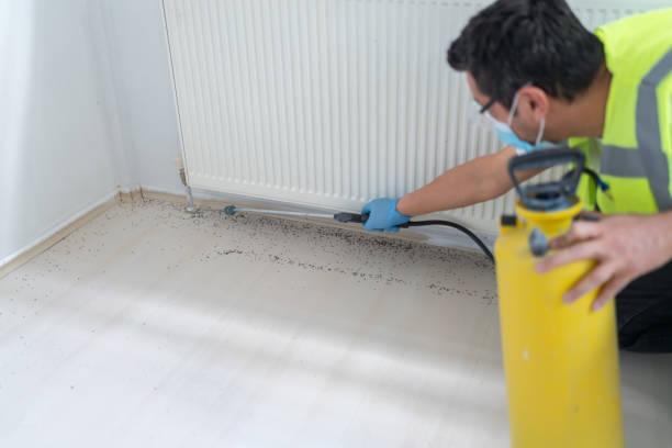 Best Wasp Removal Services  in Rlsbad, CA