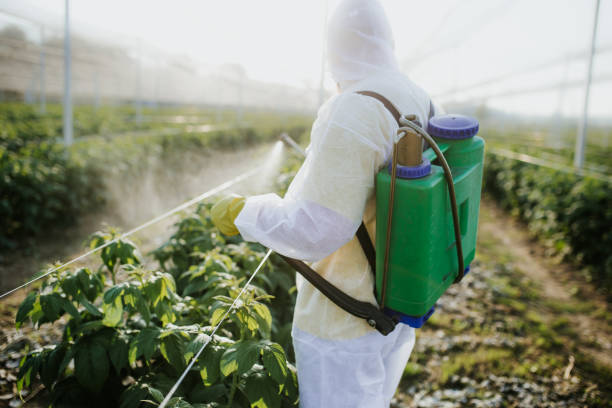 Best Pest Prevention Services  in Rlsbad, CA